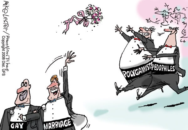 Logical Arguments Against Gay Marriage 28